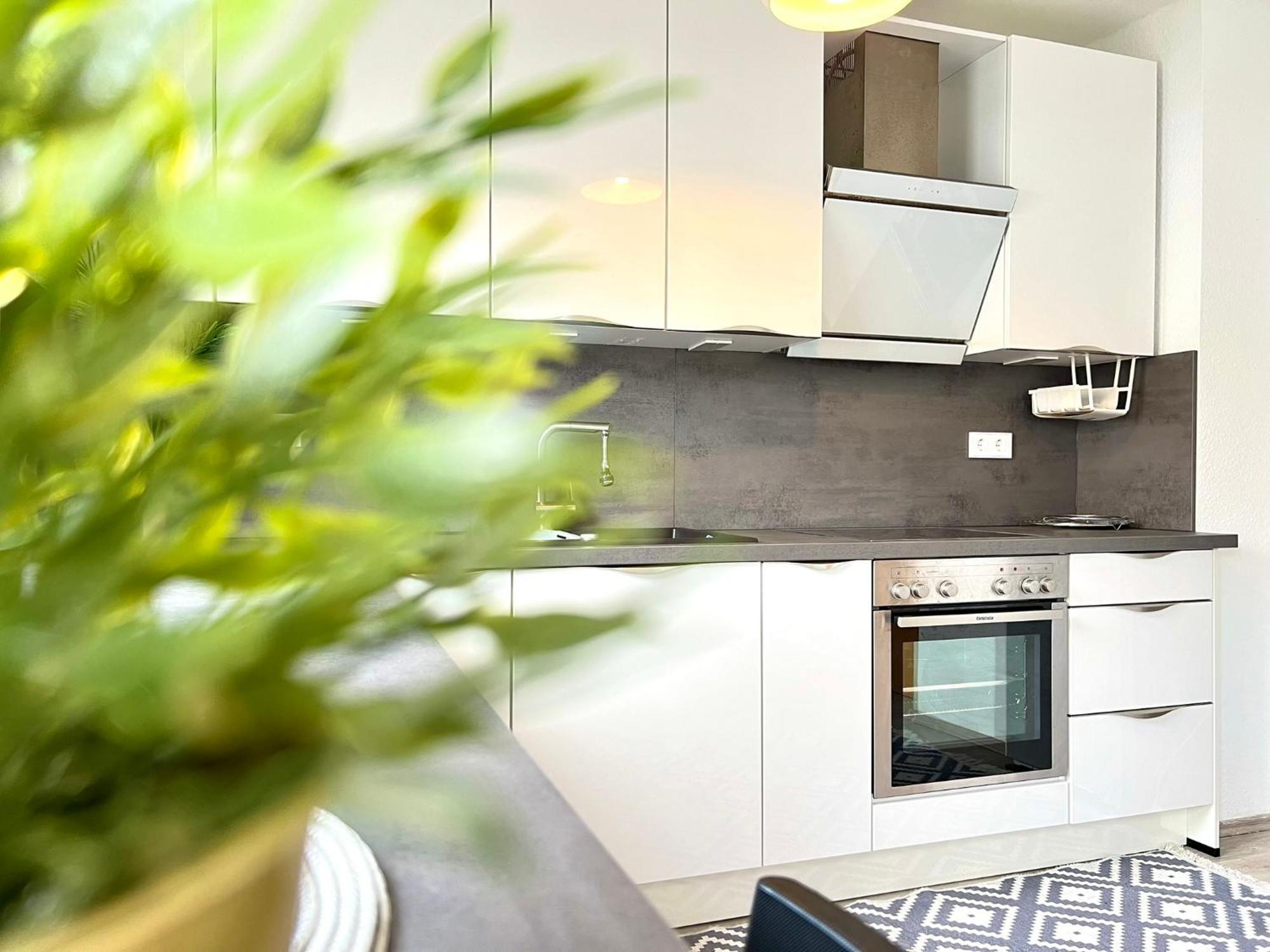 Comfy Apartment Mit Garten In Koeln Zewnętrze zdjęcie